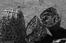 nepal-9588.jpg - 